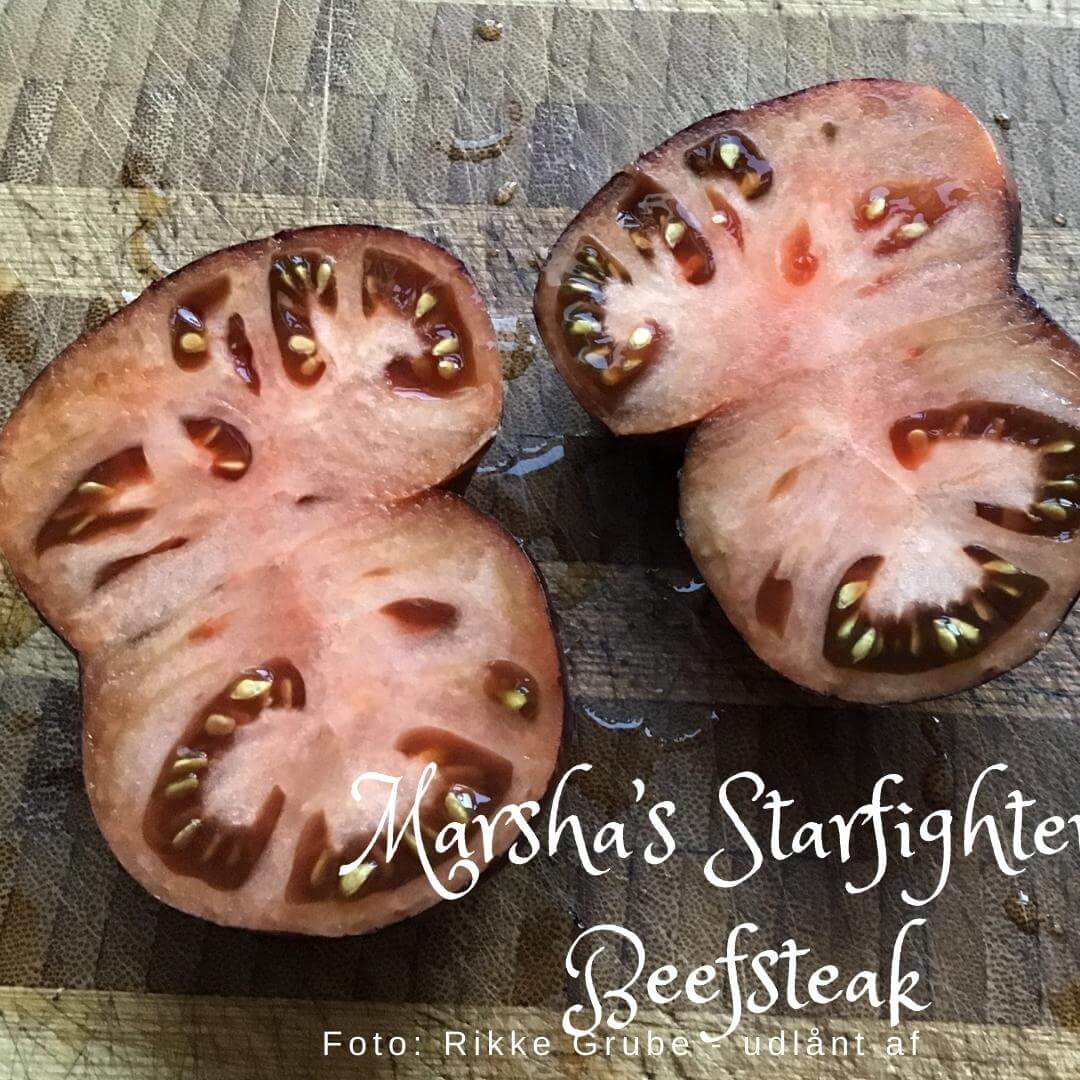 Marsha's Starfighter Beefsteak